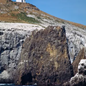 Lighthouse, East Anacapa Island