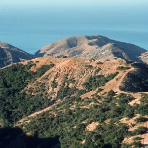 Santa Cruz Island, Ridge between Alamos and Horqueta Canyons