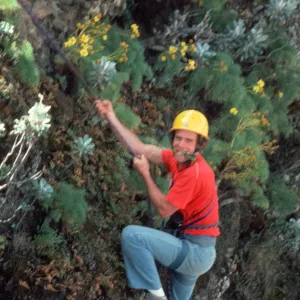 Tom Hesseldons repelling down cliff face, on Santa Cruz Island