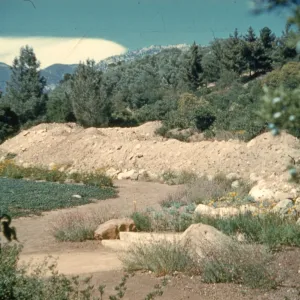pre parking lot construction, soil berm on the eastern edge of the Meadow, (Meadow 1940s-1950s)