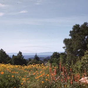 view over the Meadow to Santa Cruz Island; (Meadow 1940s-1950s)