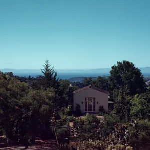 Santa Cruz Island and ocean view view from SBBG