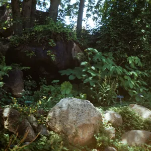 Dripping rock, Arroyo Section