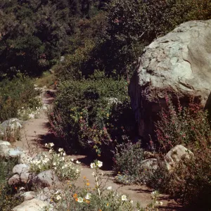 Campbell Trail