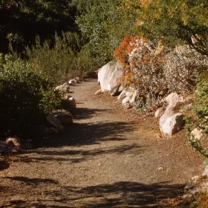Campbell Trail