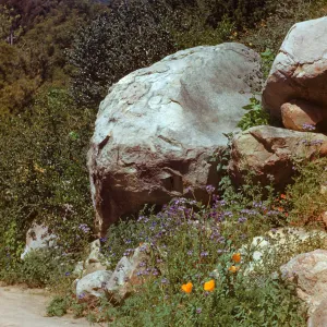 Head of Campbell Trail