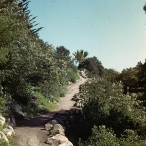 Campbell Trail, view up to Desert Section