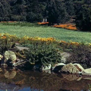 SBBG Meadow and Pool