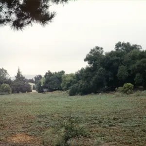 Meadow view south to the Blaksley Library
