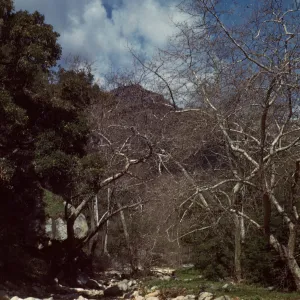 Mission Creek above Mission Dam, Mission Canyon