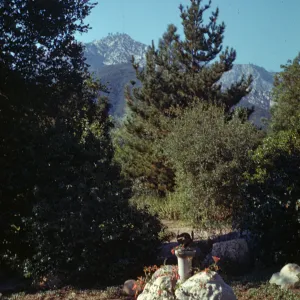 sundial, Old Island Trail