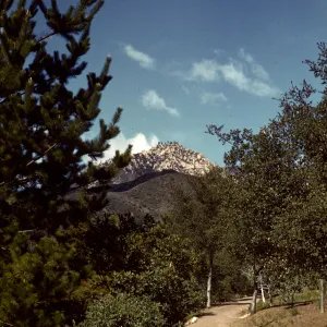 Old Foothill Section