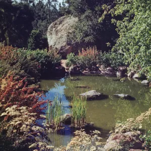 Meadow Pond and Blaksley Boulder