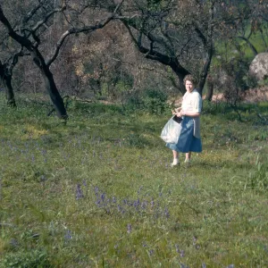 Katherine Muller, Rattlesnake Canyon