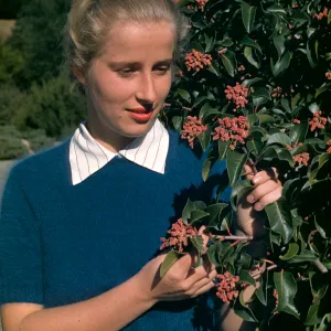 Patsy Van Rensselaer, Rhus ovata