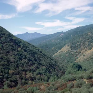 Sespe Gorge chaparral