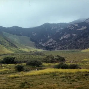 Gaviota Hills