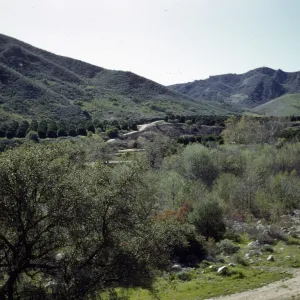 view from Steckel Park