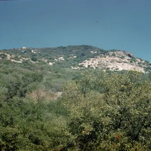 western Sierra Mountains chaparral