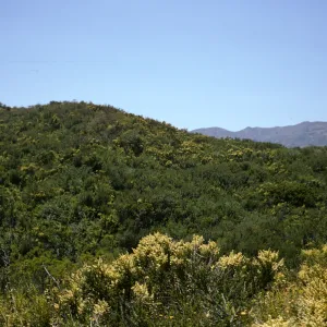 Santa Monica Mountains