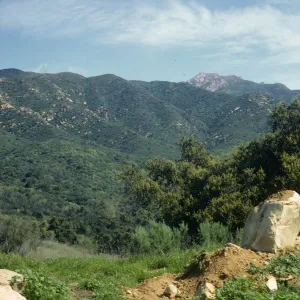 chaparral near Point Mugu