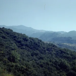 Sierra Chaparral