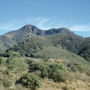 Figueroa Mountain