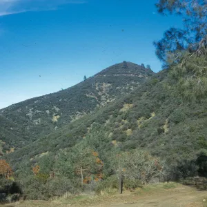 Figueroa Mountain