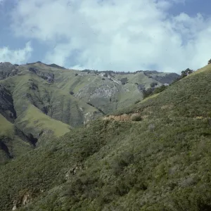 Chaparral