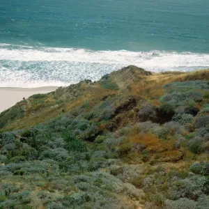 Point Sal