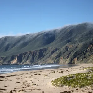 beach at Point Sal