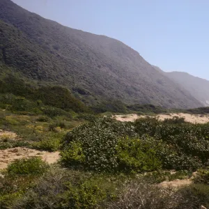 sand dunes, near Point Mugu