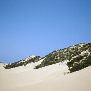 sand dunes at Oso Flaco