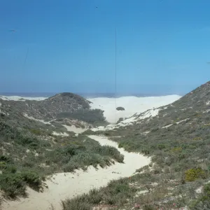coastal dunes at Oso Flaco