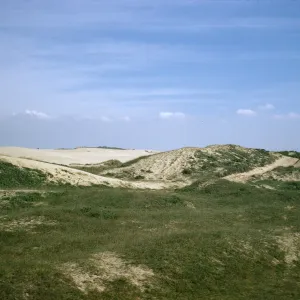 sand dunes at Oso Flaco