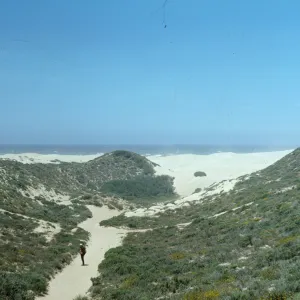 beach dunes at Oso Flaco