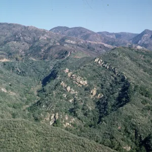 chapparal burned and unburned, after the Coyote Fire