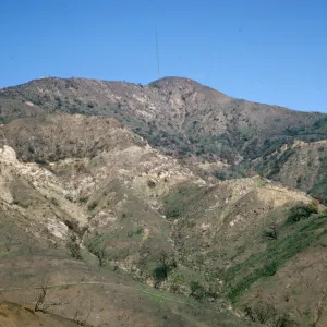 Coyote Fire 1964 burn area