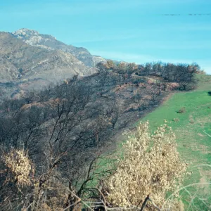 Coyote Fire 1964, Santa Ynez Mountains