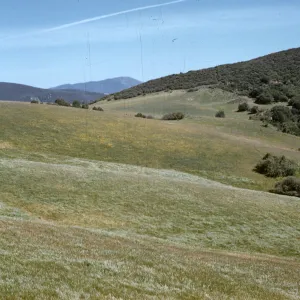edge of Salisbury Potrero, line of grassland and chaparral