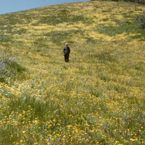 Jimmy Blakley, Montgomery Potrero