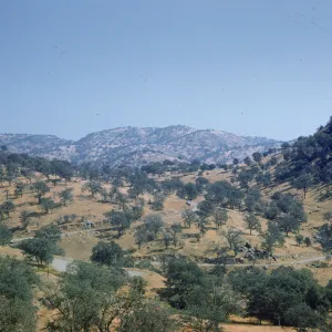 oak savanna, western Sierras