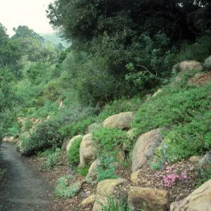 Campbell Trail