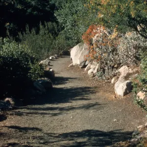 Campbell Trail