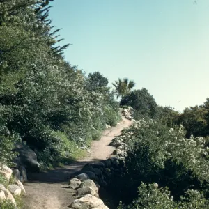 Campbell Trail