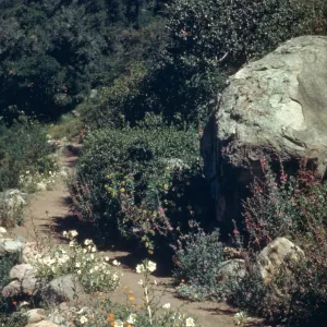 Campbell Trail