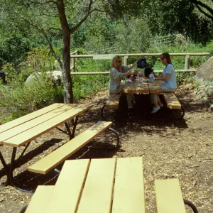 new picnic area, SBBG