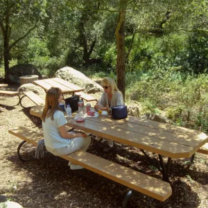 new picnic area, SBBG