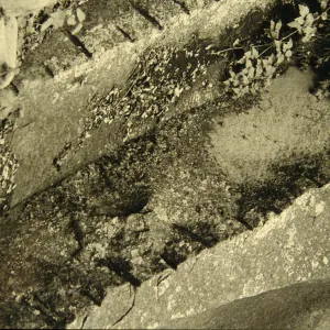 cut stone in the canyon