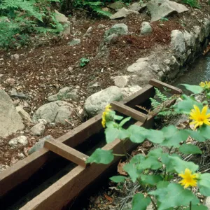 Mission waterworks, redwood flume at old stone Mission Aqueduct